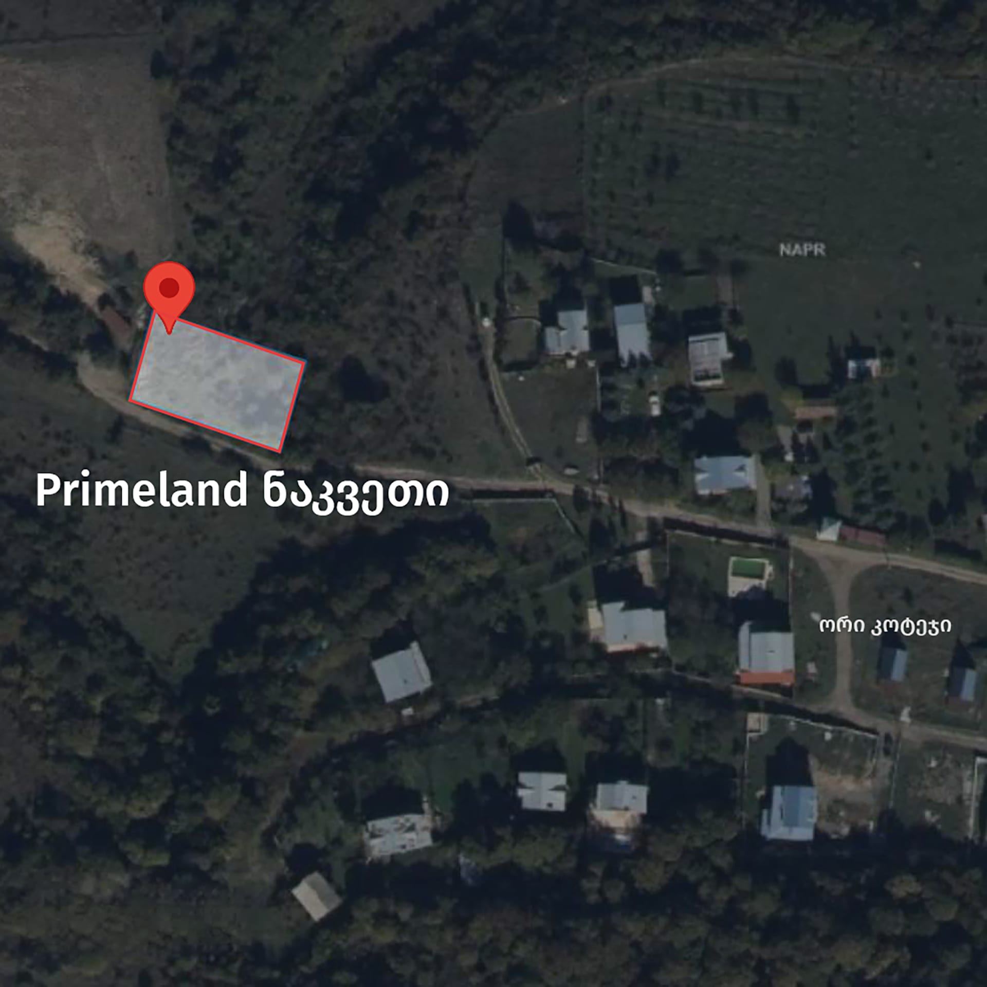 სატელიტური ხედი ნაკვეთის წითელი საზღვრით, მოსაზღვრე ორი კოტეჯით