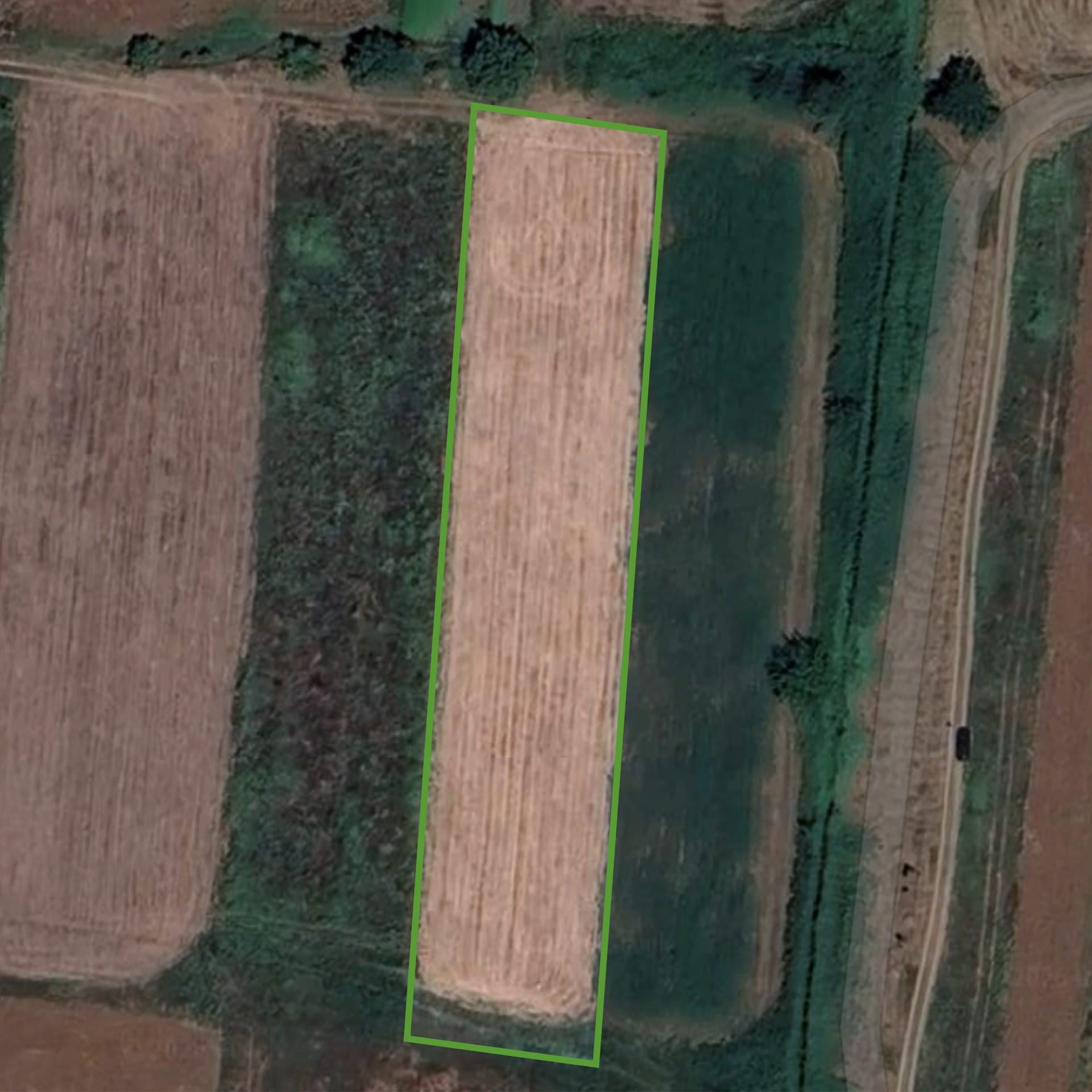 სატელიტური ხედი ნაკვეთის მწვანე საზღვრით