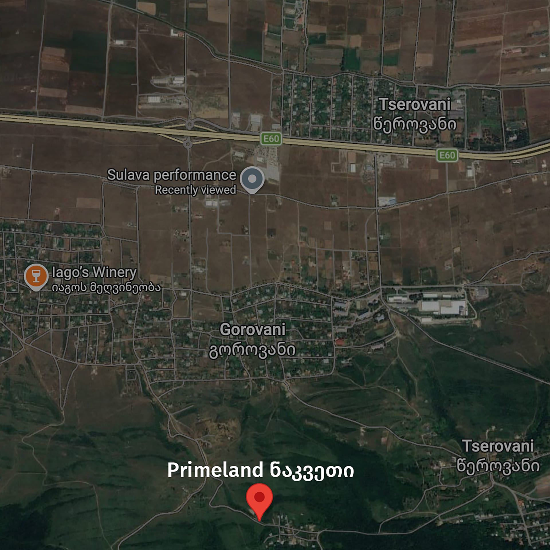 Google Maps-ის სქრინშოტი: კონტექსტი - ნაკვეთი წეროვანის, გოროვანის და Iago's Winery-ის სიახლოვეს, E60 მაგისტრალთან